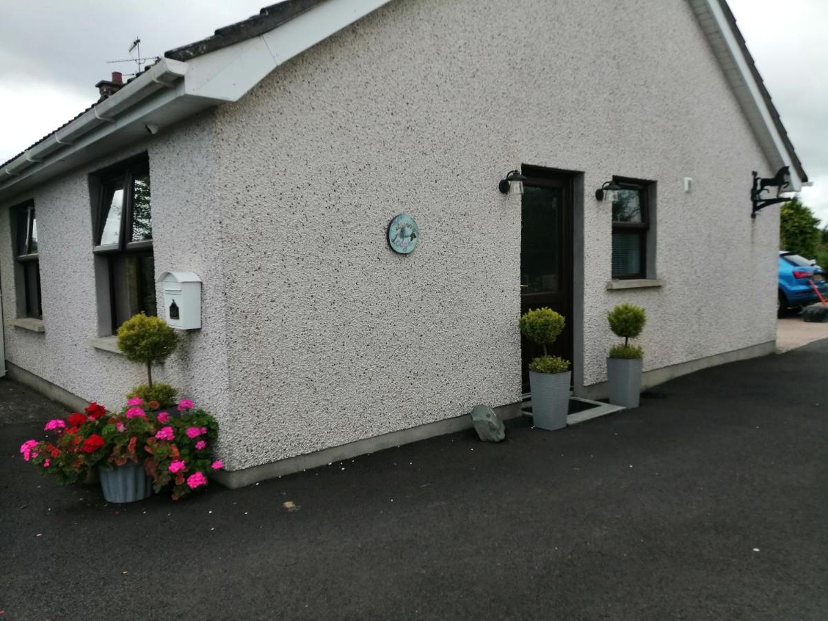 Lynn'S Lodge, International Airport 15Mins Randalstown Dış mekan fotoğraf