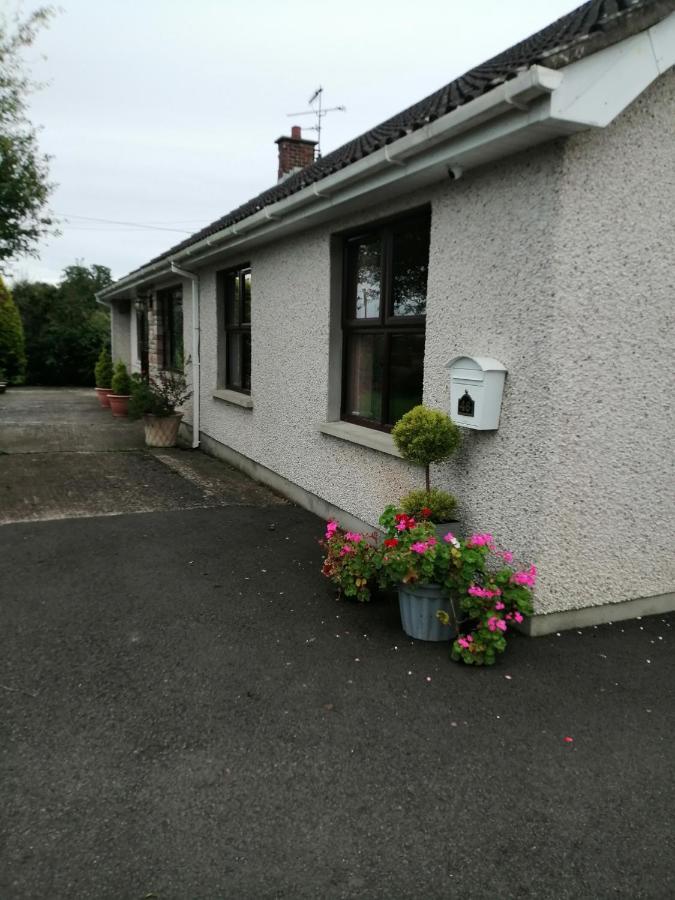 Lynn'S Lodge, International Airport 15Mins Randalstown Dış mekan fotoğraf