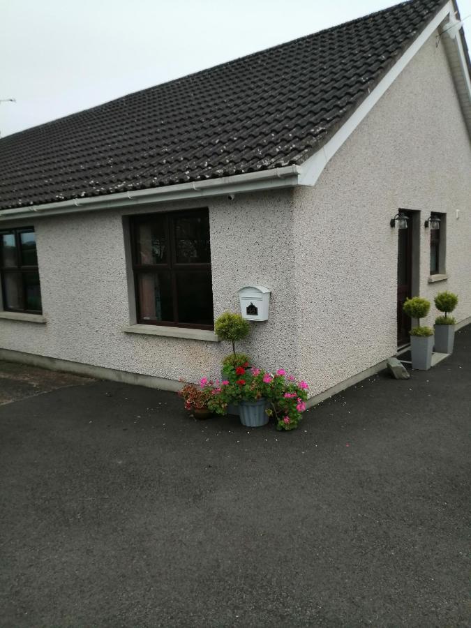 Lynn'S Lodge, International Airport 15Mins Randalstown Dış mekan fotoğraf